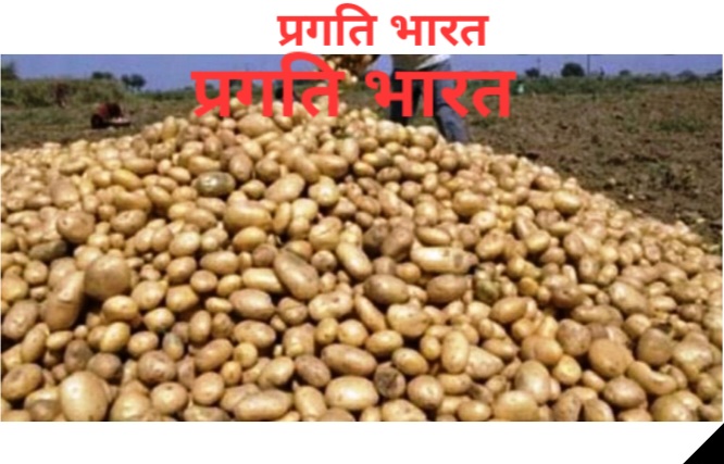 हाथरस के आलू की विदेशों में धूम! सऊदी, यूएई, मलेशिया ने दिए 5 लाख पैकेट के ऑर्डर – किसानों को मिलेगा सीधा लाभ